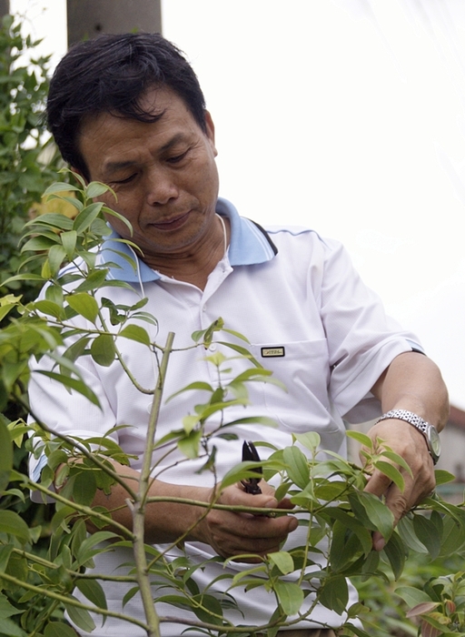 咖啡達人曾金柱 用愛照料農作物圖片